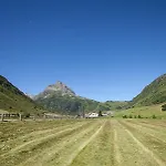 Vermunt